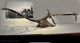 William Gordon Bell Plough